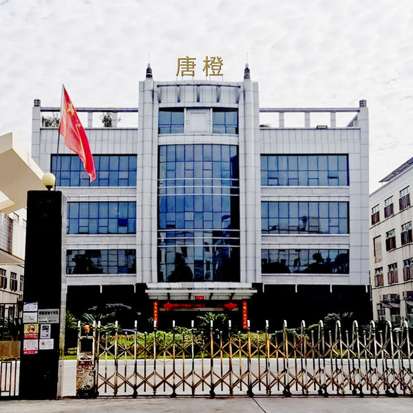 चीन Guangzhou Tangcheng Technology Co., Ltd. कंपनी प्रोफाइल