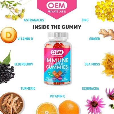 9 in 1 Organic Black Elderberry Gummies Vegan Sambucus Gummies to Boost Immune System