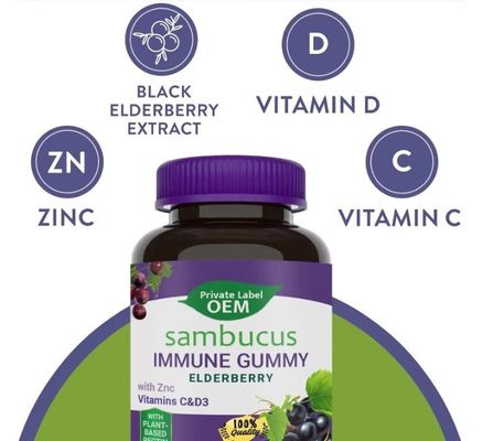 60/90/120 Gummies / Bottle Elderberry Vitamin C Vitamin D3 Zinc Immune Support For Kids