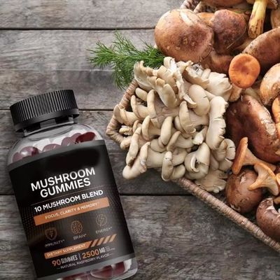 Shelf-Life 6 Months Vegan Reishi Mushroom Nootropic Brain Supplement 90 Gummies / Bottle