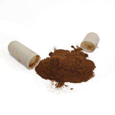 Unflavored Shilajit Capsules High in Minerals and Fulvic Acid for Healthy Aging