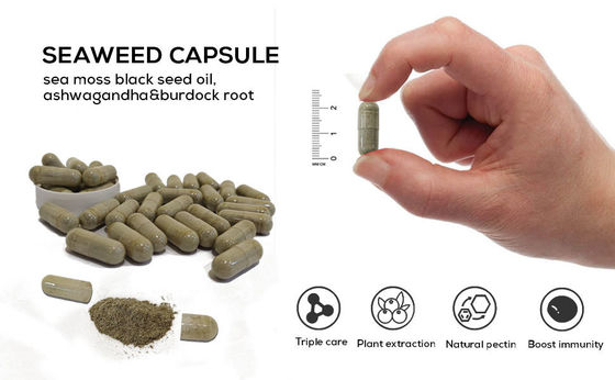 Sea Moss Black Seed Oil Ashwagandha Ginger Capsules Dietary Healthcare Supplement for Adults