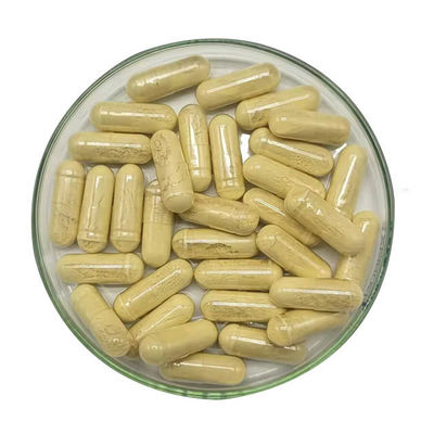 Shelf-Life 24 Months Cinnamon Complex Capsules for Enhanced Immunity and Pain Control