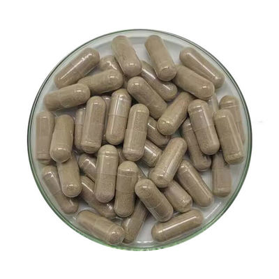 Shelf-Life 24 Months Cinnamon Complex Capsules for Enhanced Immunity and Pain Control