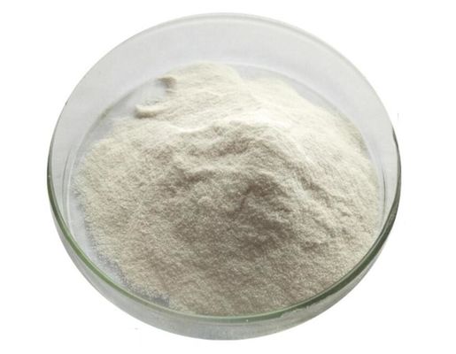 Artificially Cultivated Collagen Peptide Powder for Dietary Supplement Herbal Extract