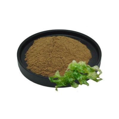 Health Food Direct Supply Sea Moss Black Seed Oil Ashwagandha Ginger Powder Raw Material Herbal Extract