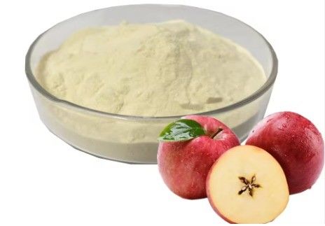 Grade L-Carnitine Apple Enzyme Raw Material Powder Herbal Extract Dietary Supplement