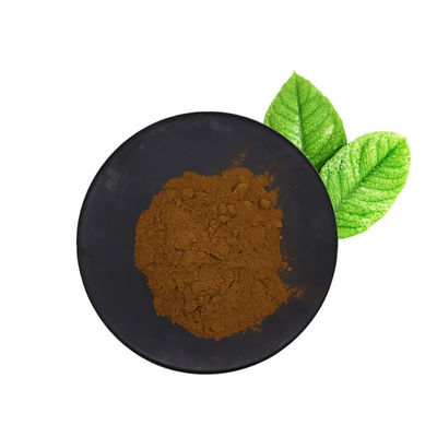 Direct Supply Pain Relief Health Liquid Raw Material Powder Herbal Extract Dietary Supplement