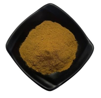 Grade Health Product Grade Herbal Extract Mushroom Gummies Plant Extract Powder For Dietary Supplement