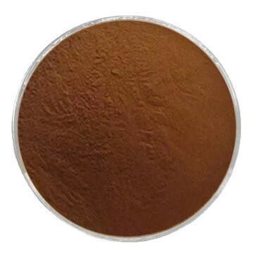 Discover The Power Of Grifola Frondosa Extract Powder Dietary Supplement