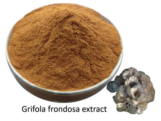 Discover The Power Of Grifola Frondosa Extract Powder Dietary Supplement