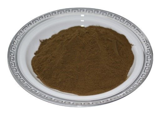 Discover The Power Of Grifola Frondosa Extract Powder Dietary Supplement