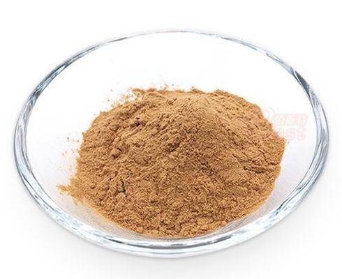 Discover The Power Of Grifola Frondosa Extract Powder Dietary Supplement