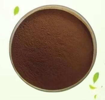 Discover The Power Of Grifola Frondosa Extract Powder Dietary Supplement