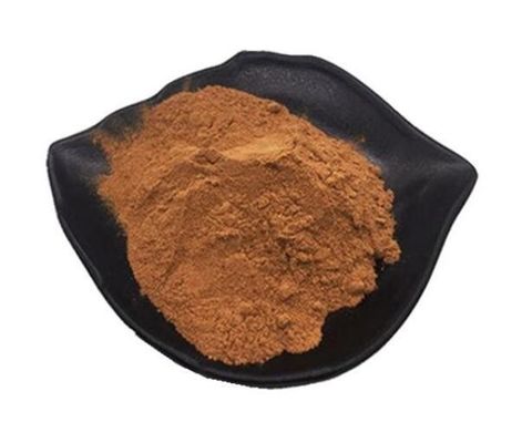 Discover The Power Of Grifola Frondosa Extract Powder Dietary Supplement
