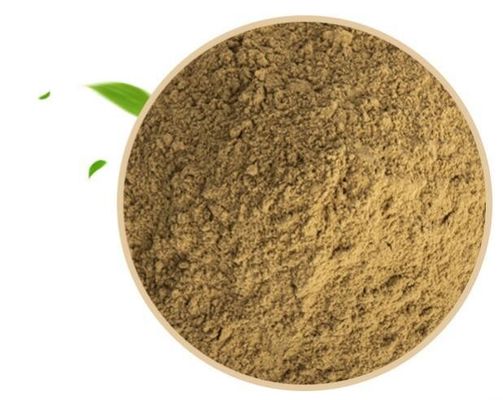 Herbal Extract Hericium Erinaceus Extract Raw Material Powder For Dietary Supplement