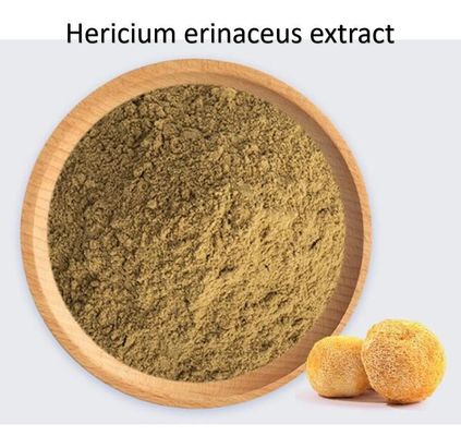 Herbal Extract Hericium Erinaceus Extract Raw Material Powder For Dietary Supplement