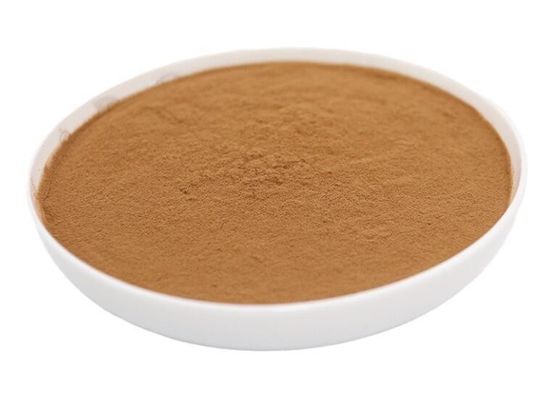 Herbal Extract Hericium Erinaceus Extract Raw Material Powder For Dietary Supplement