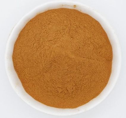 Herbal Extract Hericium Erinaceus Extract Raw Material Powder For Dietary Supplement