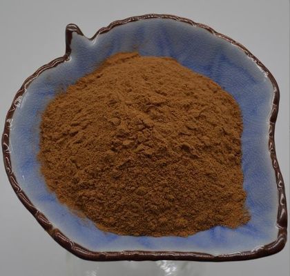 Herbal Extract Hericium Erinaceus Extract Raw Material Powder For Dietary Supplement