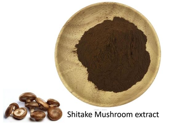 Artificial Planting Method Shitake Mushroom Extract Powder For Dietary Supplement