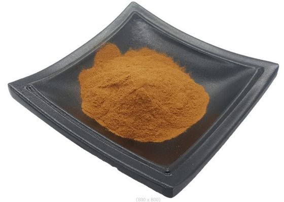 Artificial Planting Method Shitake Mushroom Extract Powder For Dietary Supplement