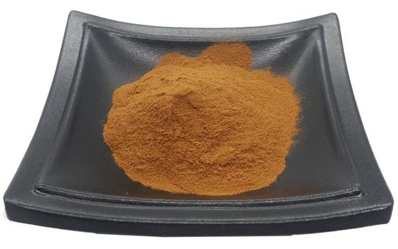 Artificial Planting Method Shitake Mushroom Extract Powder For Dietary Supplement