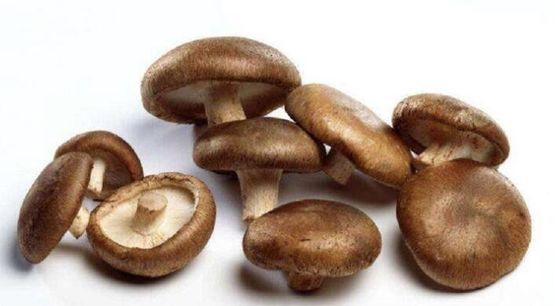 Artificial Planting Method Shitake Mushroom Extract Powder For Dietary Supplement