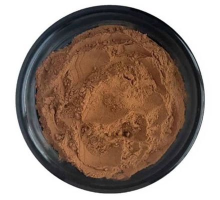 Superior Health Product Grade Reishi Mushroom Extract Raw Material Powder Herbal Extract