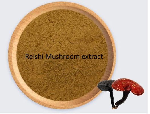 Superior Health Product Grade Reishi Mushroom Extract Raw Material Powder Herbal Extract