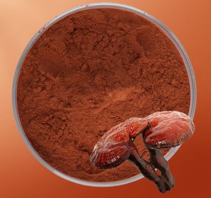 Superior Health Product Grade Reishi Mushroom Extract Raw Material Powder Herbal Extract
