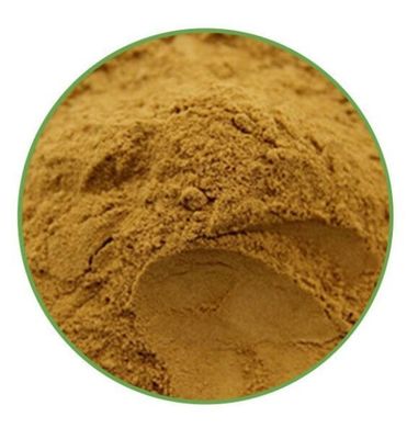 Agaricus Blazi Extract Raw Material Powder Herbal Extract Dietary Supplement Superior