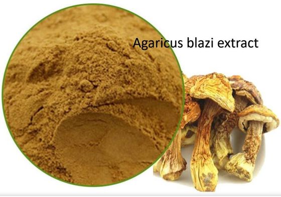 Agaricus Blazi Extract Raw Material Powder Herbal Extract Dietary Supplement Superior