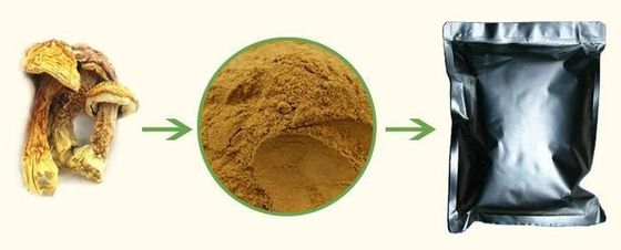 Agaricus Blazi Extract Raw Material Powder Herbal Extract Dietary Supplement Superior