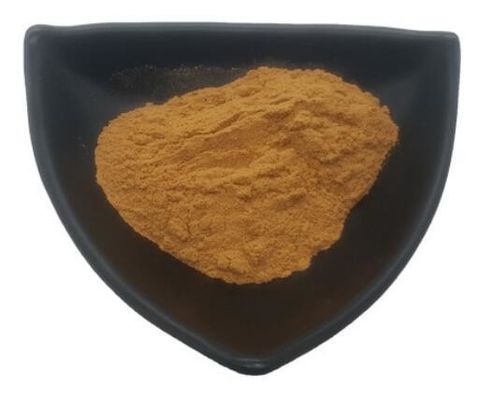 Agaricus Blazi Extract Raw Material Powder Herbal Extract Dietary Supplement Superior
