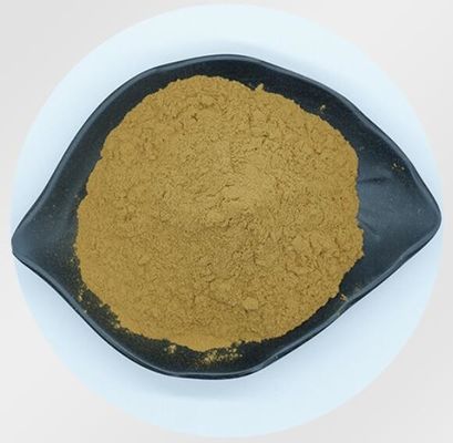 Herbal Extract Cordyceps Mushroom Extract Raw Material Powder For Dietary Supplement