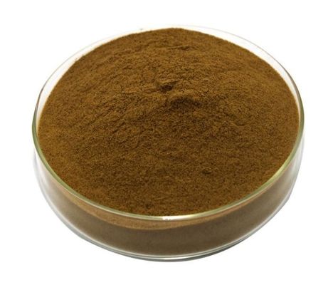 Herbal Extract Cordyceps Mushroom Extract Raw Material Powder For Dietary Supplement