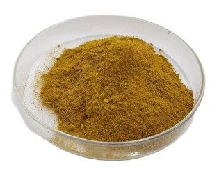 Health Food Careful Selection Shilajit Raw Material Powder Herbal Extract Dietary Supplement