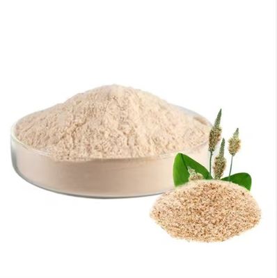 Health Food Excellent Psyllium Husk Powder Herbal Extract Dietary Supplement Raw Material