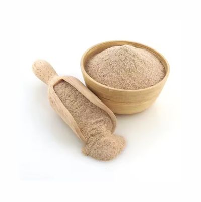 Health Food Excellent Psyllium Husk Powder Herbal Extract Dietary Supplement Raw Material