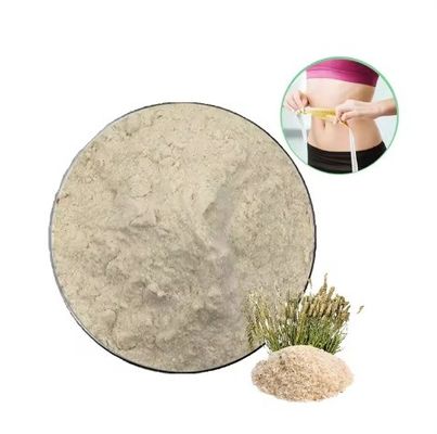 Health Food Excellent Psyllium Husk Powder Herbal Extract Dietary Supplement Raw Material