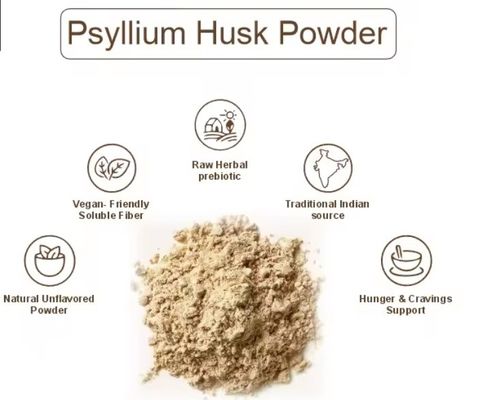 Health Food Excellent Psyllium Husk Powder Herbal Extract Dietary Supplement Raw Material