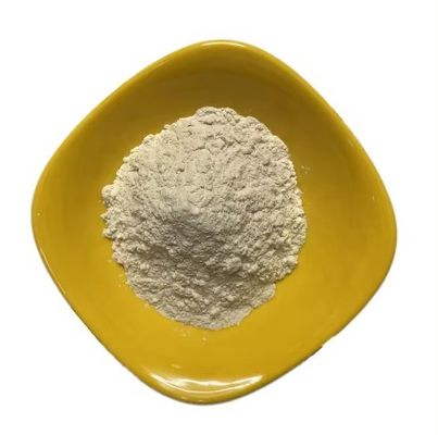 Health Food Excellent Psyllium Husk Powder Herbal Extract Dietary Supplement Raw Material