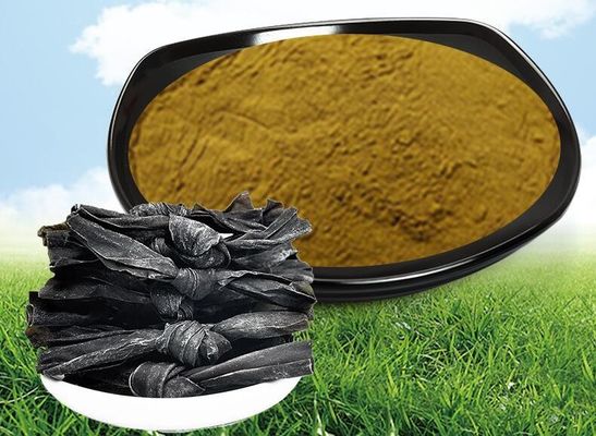 Health Food Direct Supply Sea Moss Black Seed Oil Ashwagandha Ginger Powder Raw Material Herbal Extract