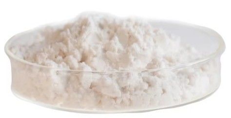 Grade L-Carnitine Apple Enzyme Raw Material Powder Herbal Extract Dietary Supplement